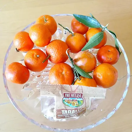 Palazzo Dei Tabacchi Apartment