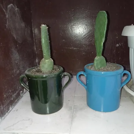 Palazzo Dei Tabacchi شقة *