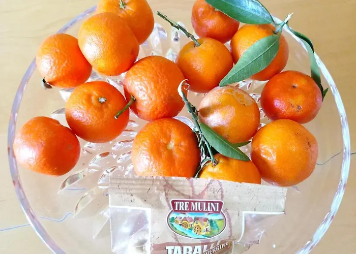 Palazzo Dei Tabacchi Daire