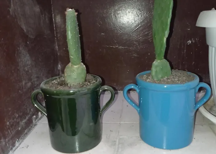 Palazzo Dei Tabacchi Daire *